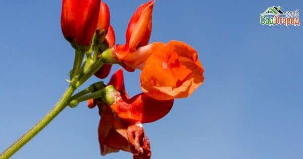 изображение: depositphotos.com