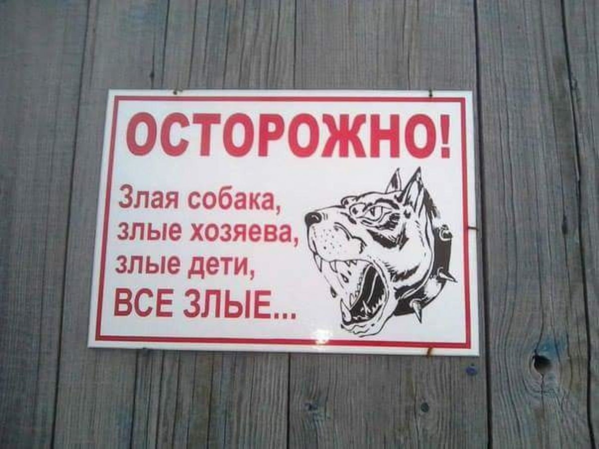 Злая собака