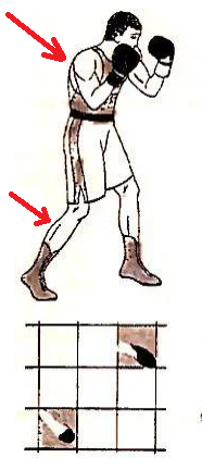 Классическая стойка правши. Стрелками показана "задняя" (ее же называют бьющая) рука и "задняя" нога. 