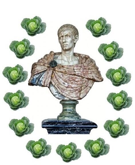 Император Диоклетиан. Выращивать капусту или рубить ее до конца? | Грабли  Истории | Дзен