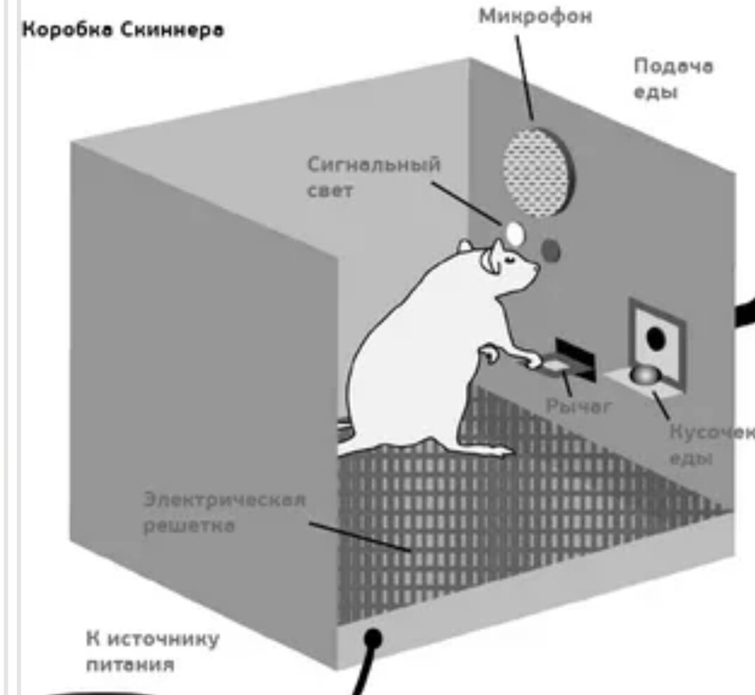 Ящик скиннера для дочери. Ящик скинера. Беррес фредерик скиннер. Ящик скиннера эксперимент. Воздушная колыбель скиннера.