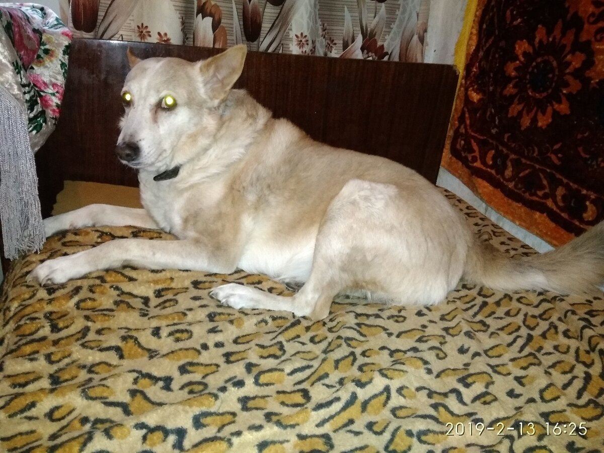 Рексик)))) 13 лет))