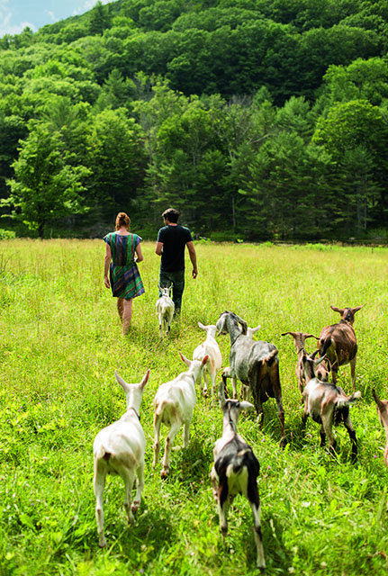 Фото modernfarmer.com