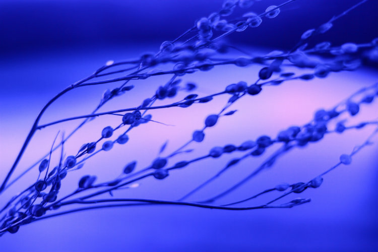 Фото: Andrei Lazarev / unsplash.com