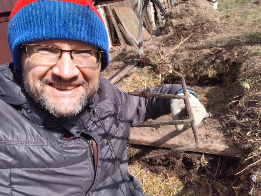 
Вчера я выгреб всю землю и разве её по огороду. Перегной раскидал под деревья.  Сегодня с утра положил на дно ямок и по стеночкам навозу для сугреву:
