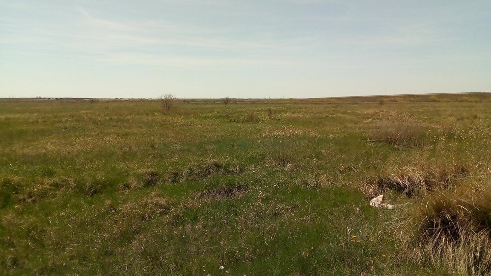 Степи довольно унылая картина для кого-то