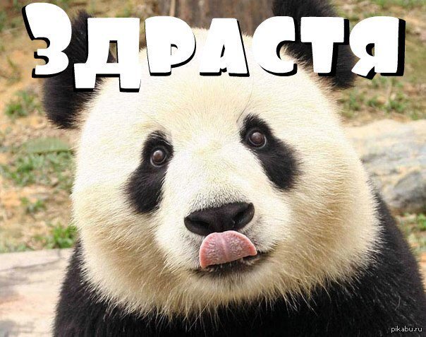 Источник: https://pbs.twimg.com/media/DlN-jpHXoAIPLp_.jpg