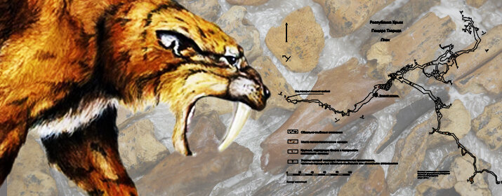 Коллаж: пресс-служба РГО