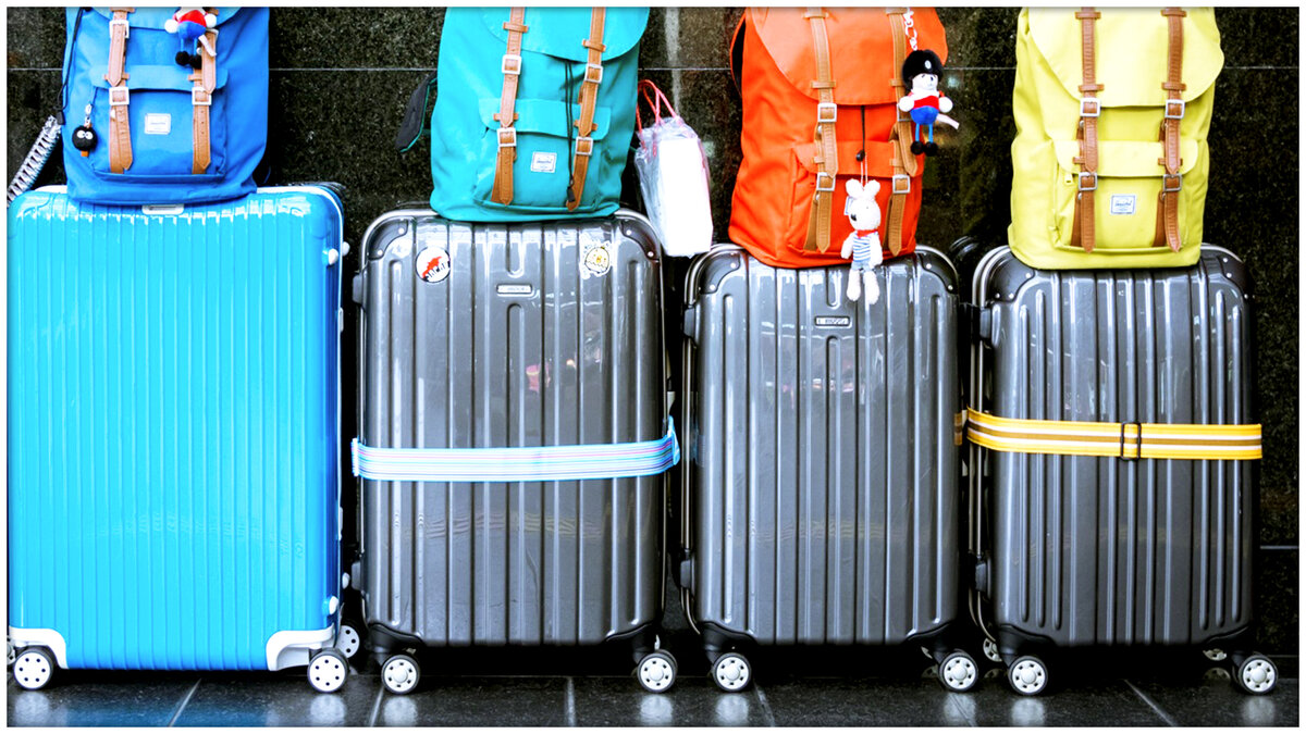  Фото: pixabay.com