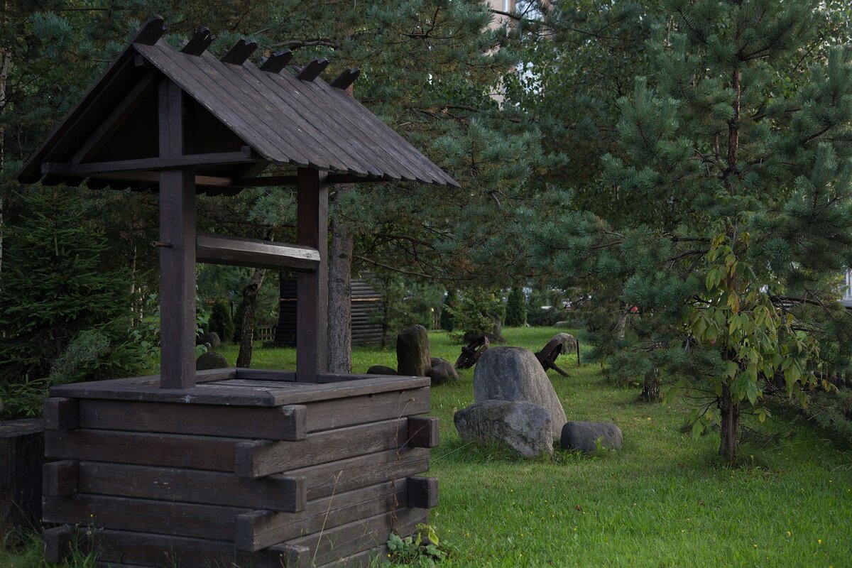 Фото взято из открытых источников