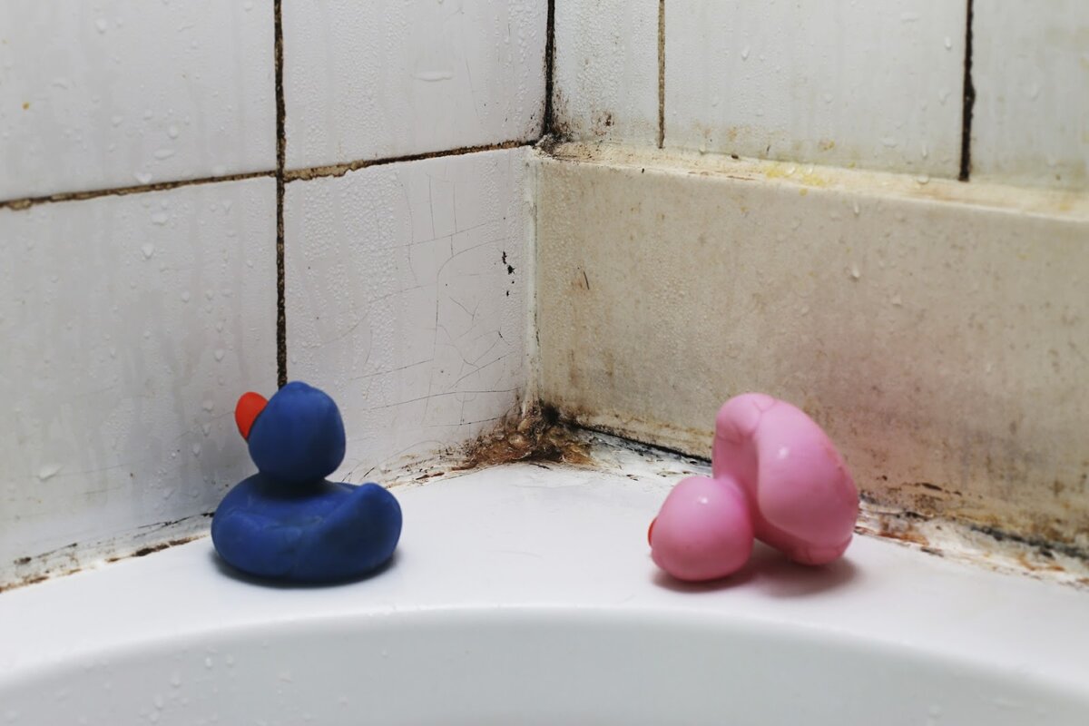 Опасность для здоровья в самых обычных вещах