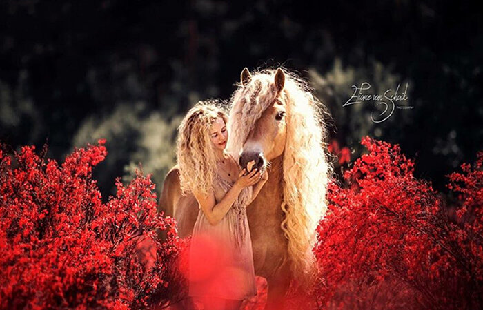 Источник фото: instagram @haflinger_storm_naomi 