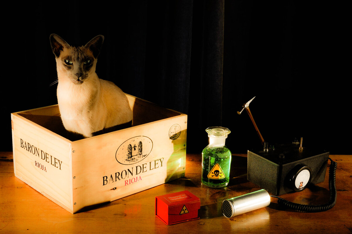 Шредингер логотип. Кот шредингера арт. Кот шредингера мем. Шредингер кот. Парадокс кота шредингера простыми словами.