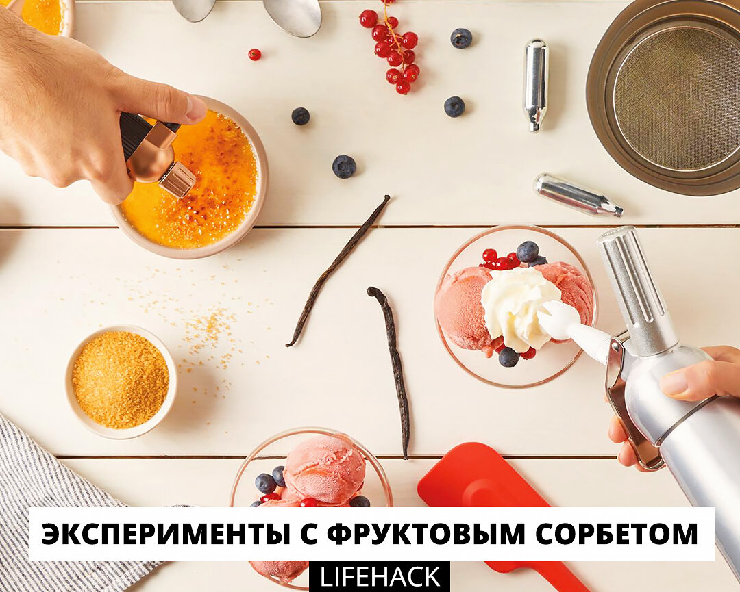 Эксперименты с фруктовым сорбетом | Евродом | Дзен