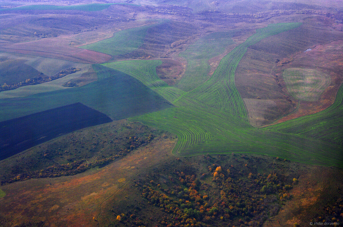 Село советское алтайский край. Платово Алтайский край озеро. Горно Алтайск с птичьего полета. Горно Алтайск с высоты птичьего полета. Советский район Алтайский край.