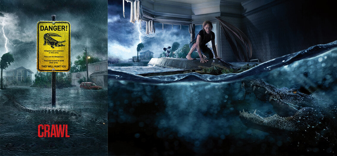 Режиссер: Александр Ажа; В ролях: Кая Скоделарио, Барри Пеппер, Морфидд Кларк и др