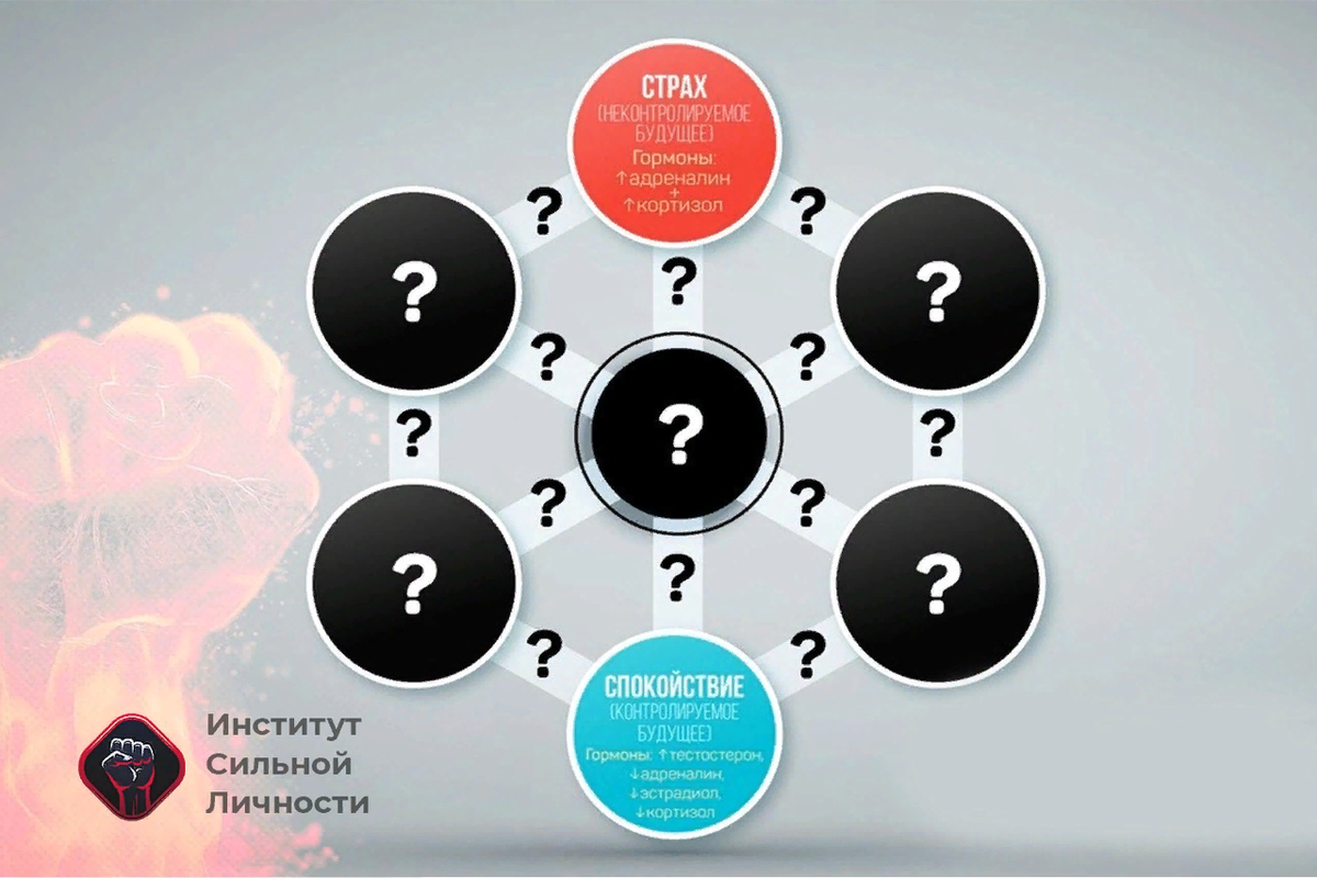 Фото взято из открытых источников