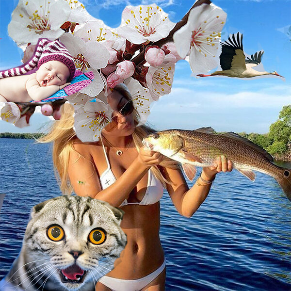 к чему снится беременной ловить рыбу. сонник к чему снится рыба женщине. рыба снится к беременности. приснилась свежая рыба. приснилась рыба женщине к чему это.