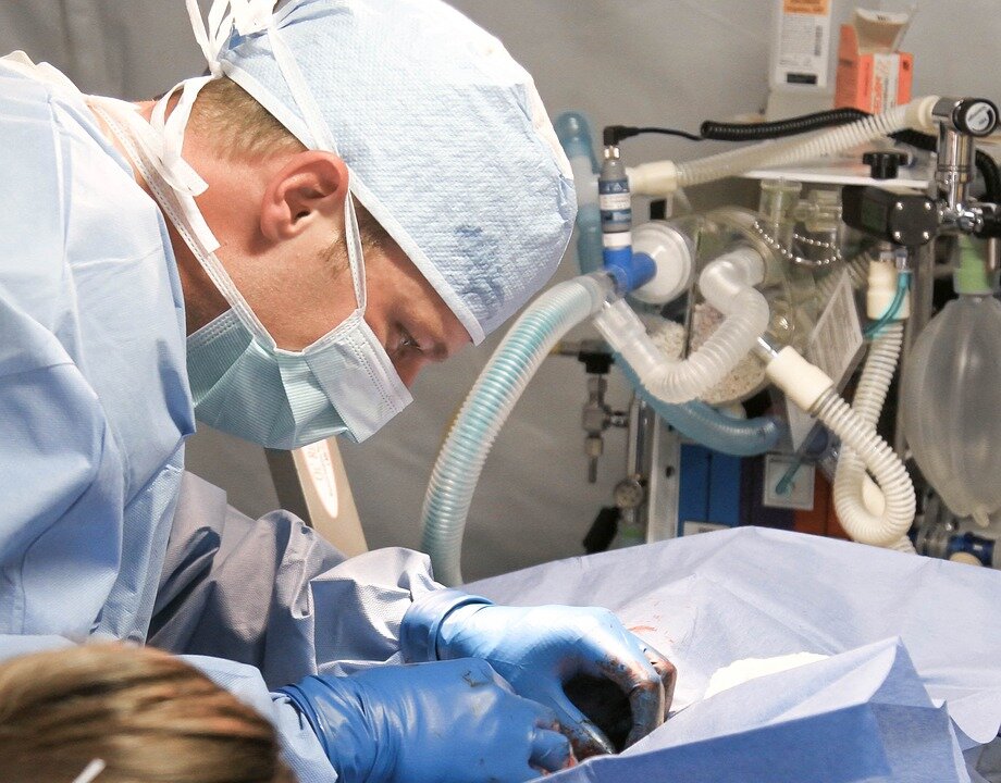 https://cdn.pixabay.com/photo/2015/06/15/06/26/veterinarian-809930_960_720.jpg