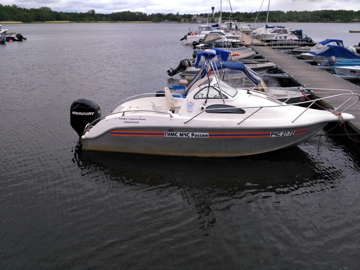 Фото из "Яндекс картинки".