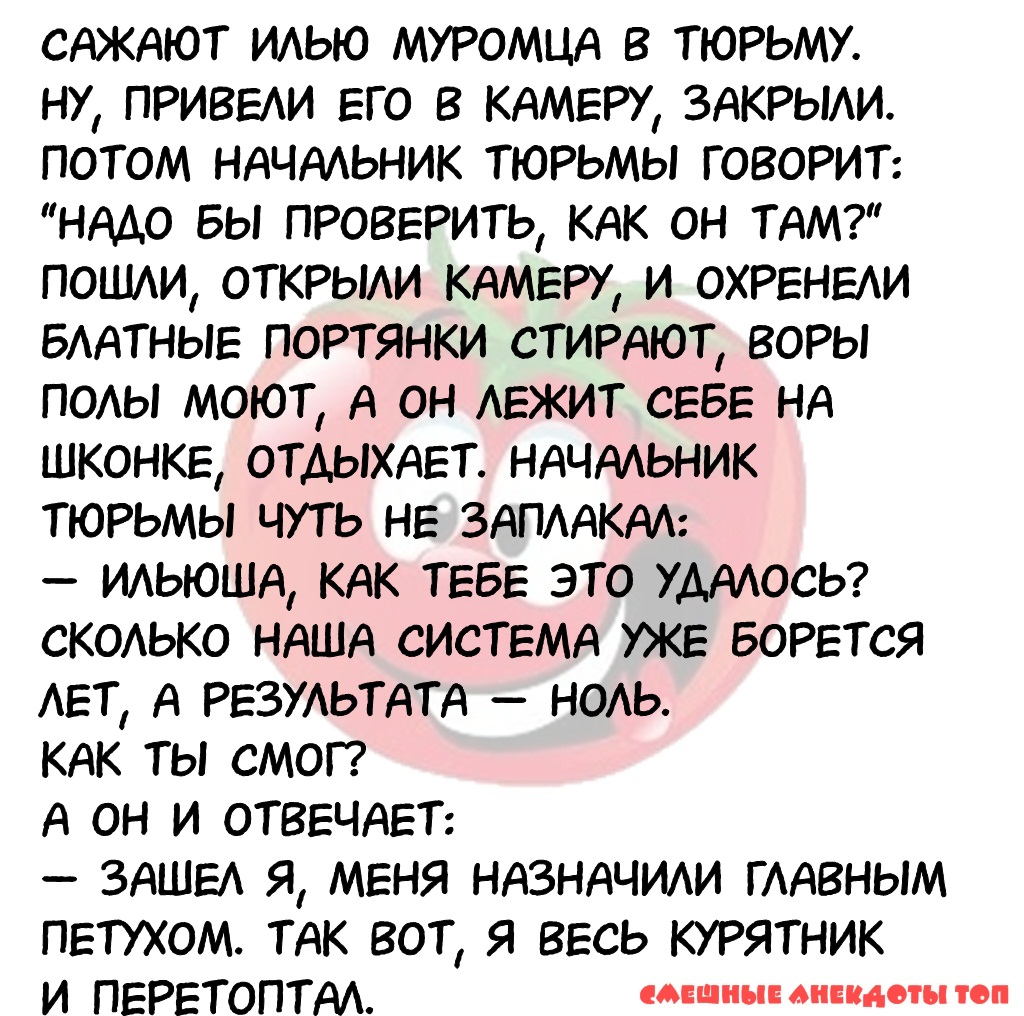 Подборка анекдотов смешных #30 | Потборка анекдотов от Стасяна | Дзен