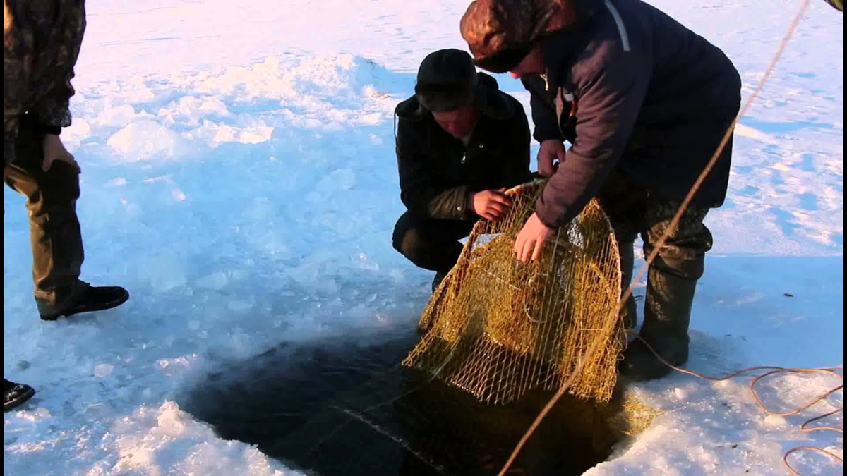 Ловля рыбу зимой видео. Зимняя рыбалка плотва окунь. Сачок для зимней рыбалки. Ловля рыбу зимой видео. Ловля рыбу зимой видео.