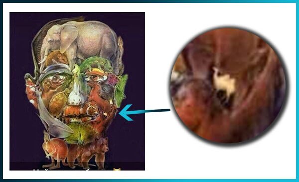 Верблюд на картинке лицо из животных Нашел верблюда - убежал от Альцгеймера! CRAZY CVET Дзен