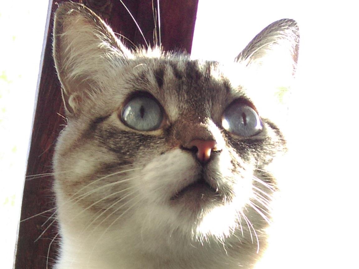 - Нормально же общались, чё вы?