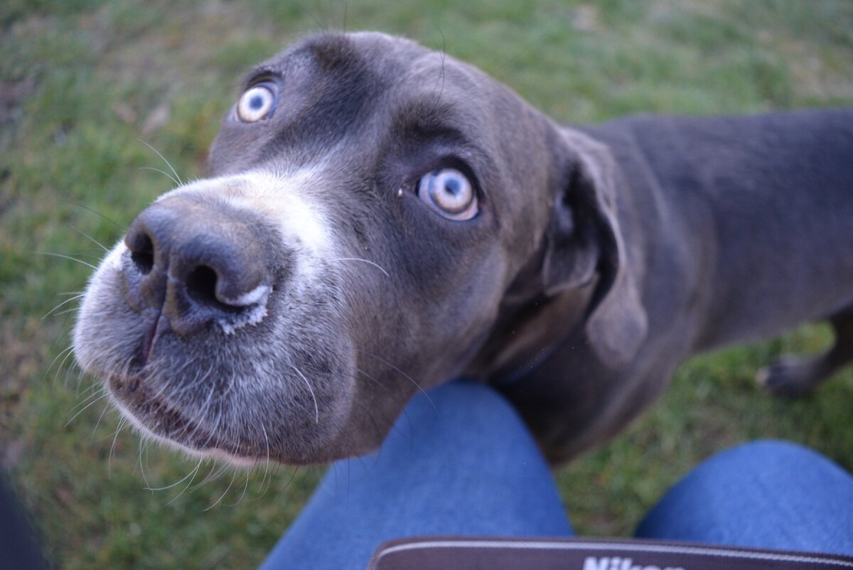 Этот взгляд...