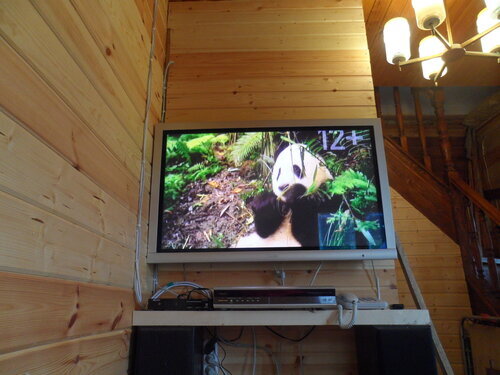 Канал про животных как у соседа, фото из сети