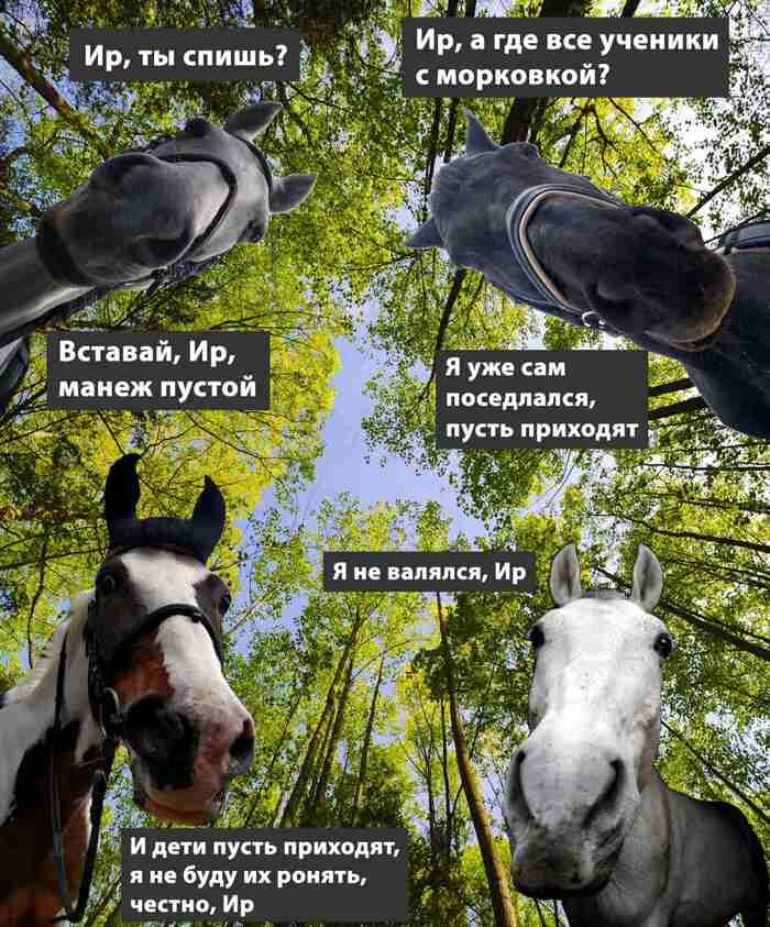 Не только Наташ достают животные, Ирам тоже досталось минута славы.