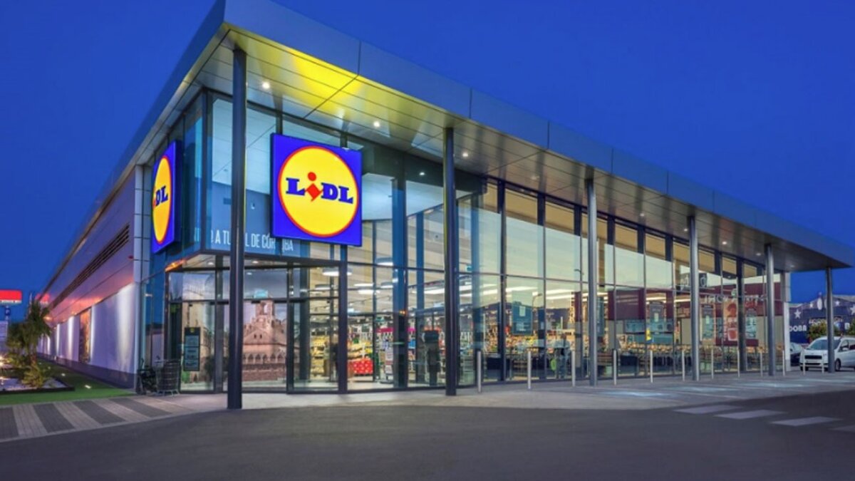 Ищете работу в супермаркетах? Lidl предлагает более 40 рабочих мест по всей  Испании | Испания от А до Я | Дзен