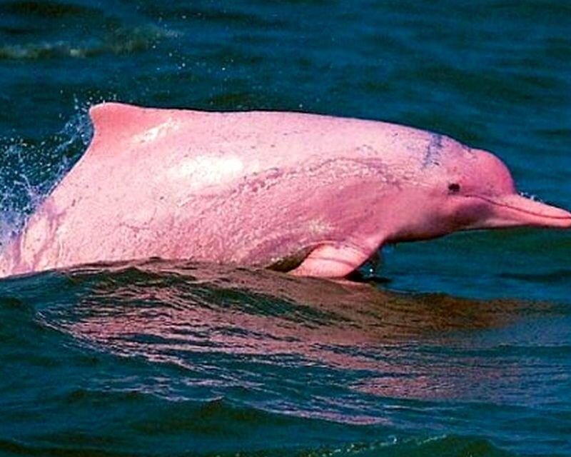 Редактировать галереюИсточник: tripsok.com