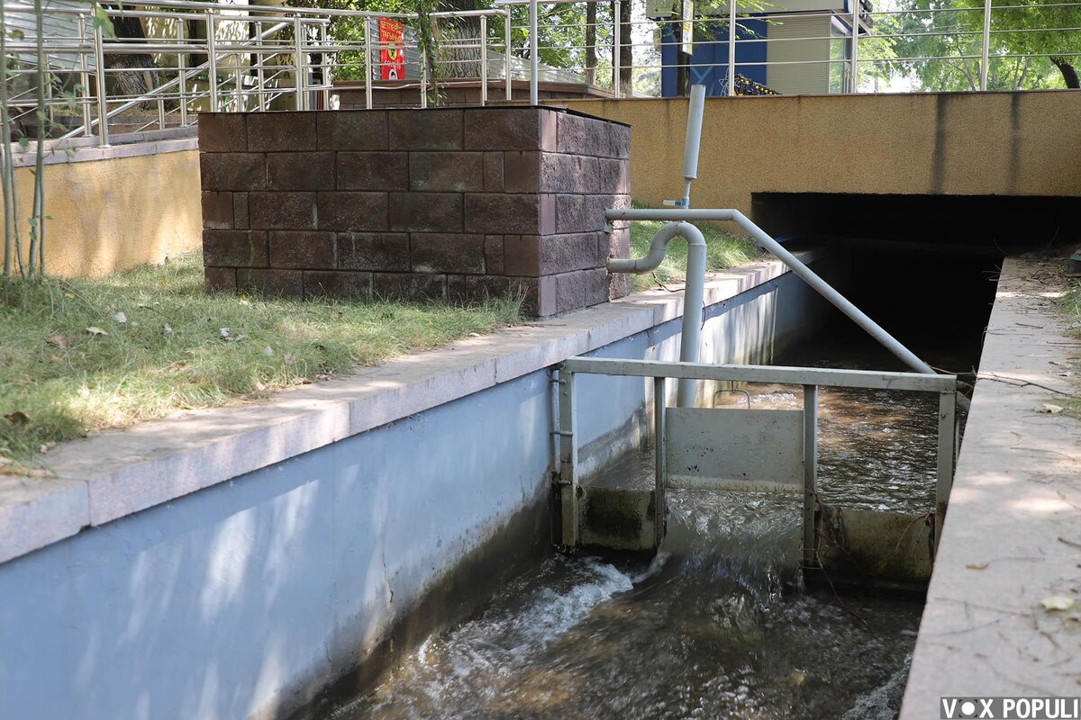 Фото: Олег Спивак