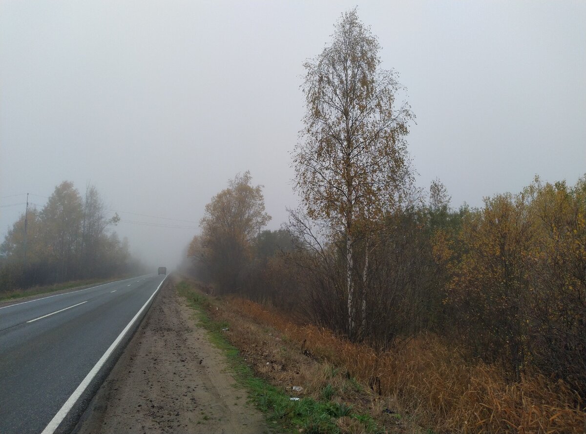 Ехали в тумане. Видимость метров 20, не более.