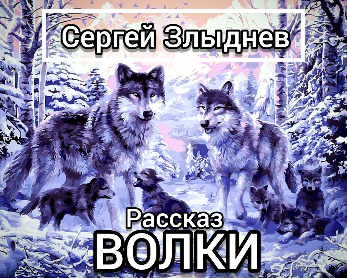 Волчья история. Книги про Волков. Волчица книга.