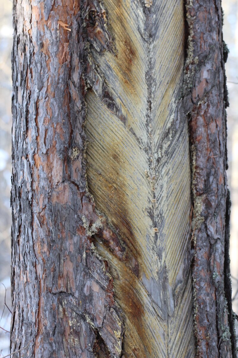 В маленьком объёме можно и так