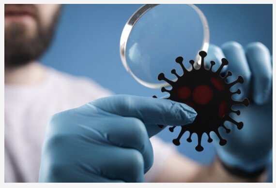 Источник: AdobeStock 