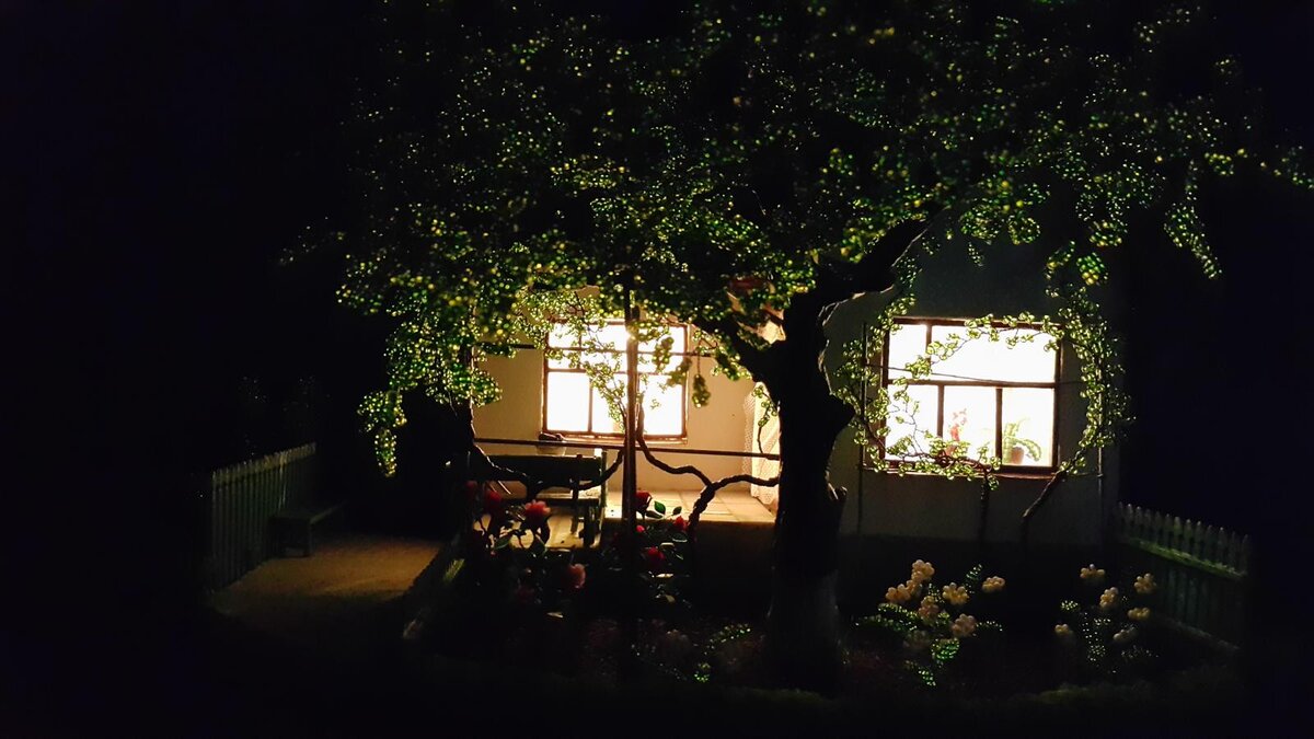 Фото из открытого источника Яндекс.Картинки