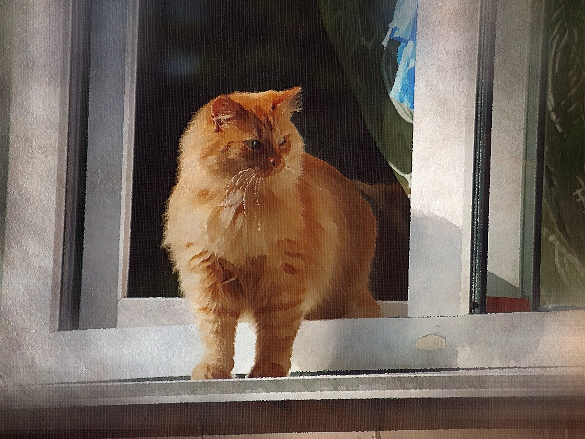 Для иллюстрации использована обработанная фотография с бесплатного фотостока pixabay.com