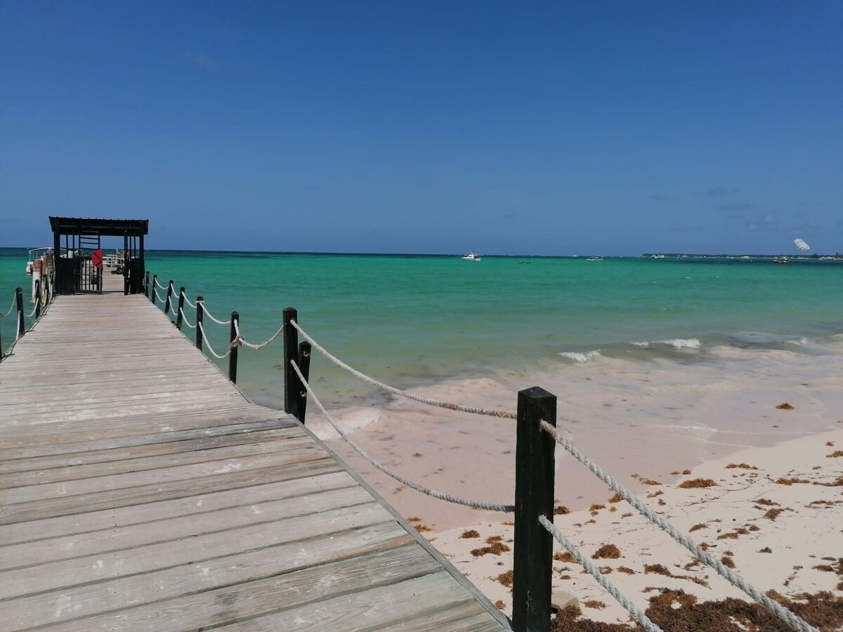 Атлантика освобождается от водорослей