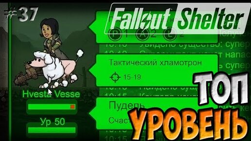 Fallout Shelter максимальный уровень. Уровень жителей Fallout Shelter. Fallout Shelter максимальный уровень жителей. Fallout Shelter максимальная прокачка. Максимальный уровень фоллаут