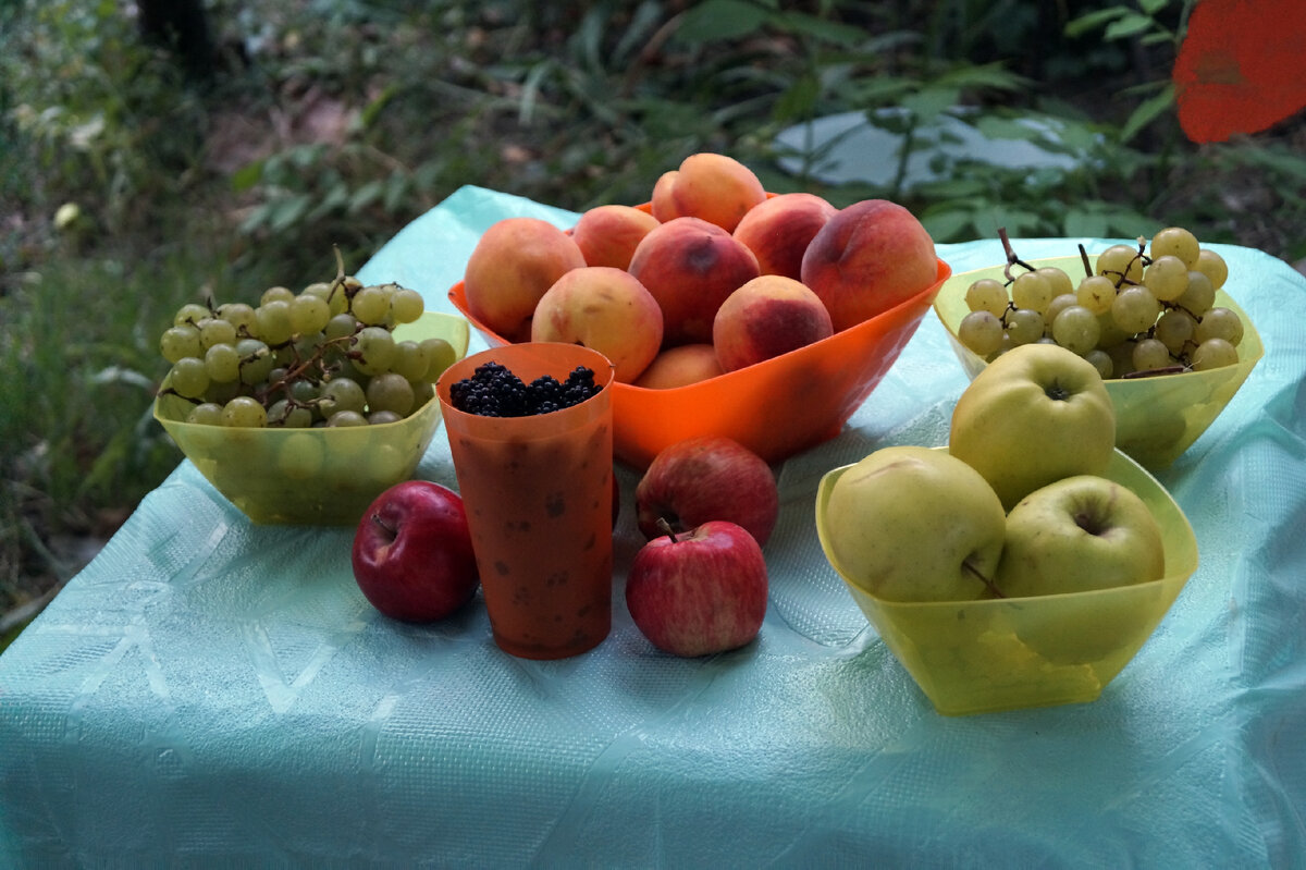 Щедрые дары лета и осени (фото: А. Олейник)