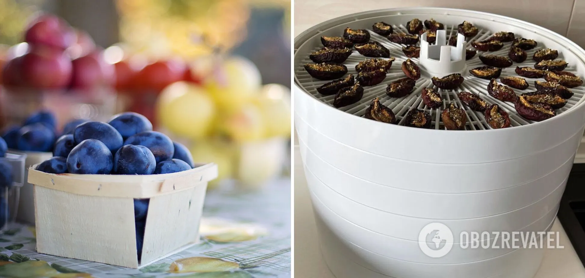 Вяленые сливы в сушке