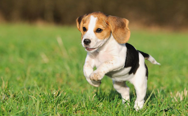 Фотография взята из свободного источника