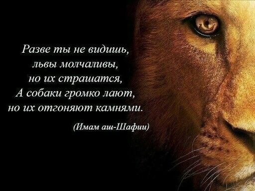 источник фото https://i.pinimg.com