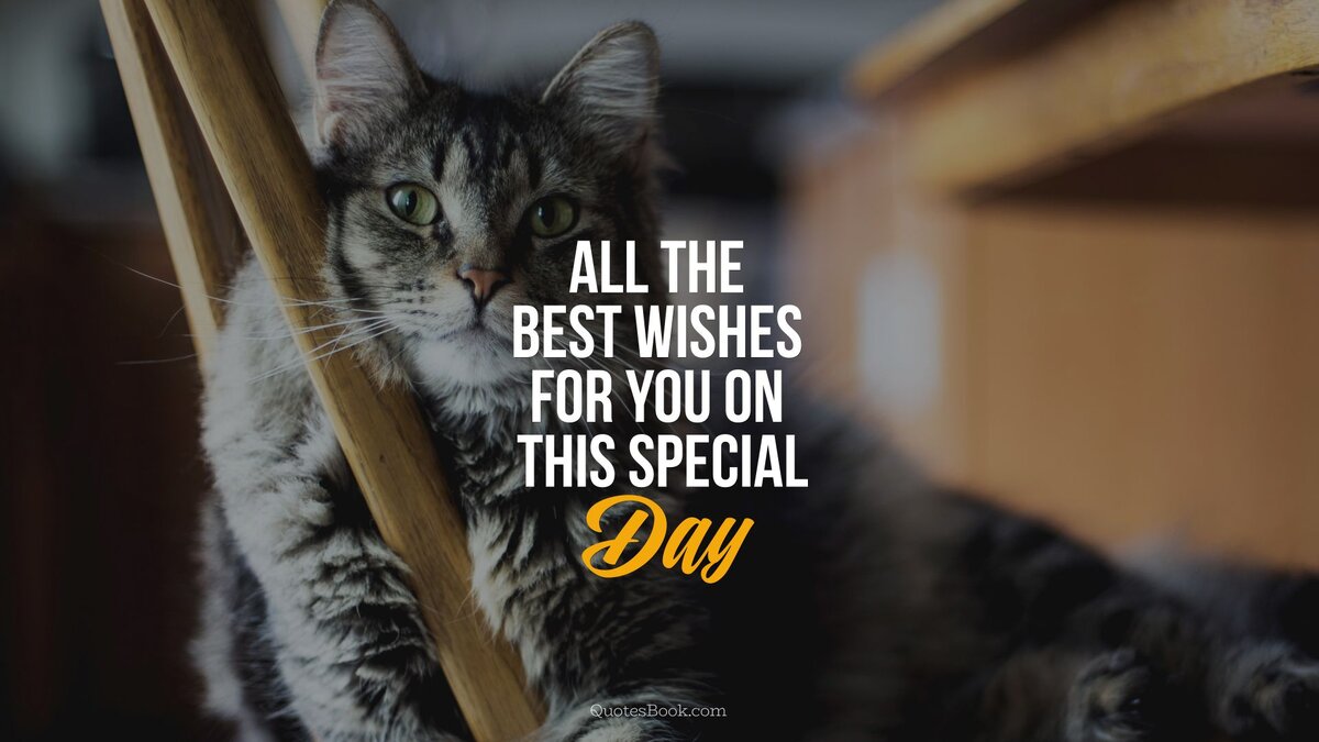 All the best wishes. Quote, the best is yet to come. Nothing good. Nrd1 all good things come to an end. All good things must come to an end.