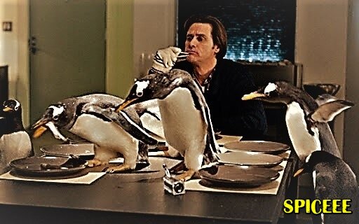 "Пингвины мистера Поппера"