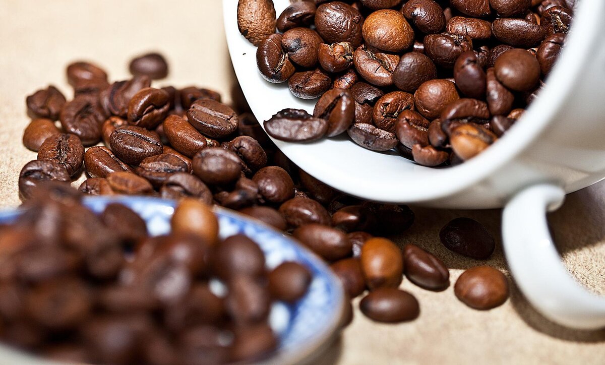 "Национальная ассоциация кофе" в США обнаружила, что пятьдесят четыре процента американского взрослого населения ежедневно пьют кофе. Типичный вариант - чашка двойного эспрессо утром.-2