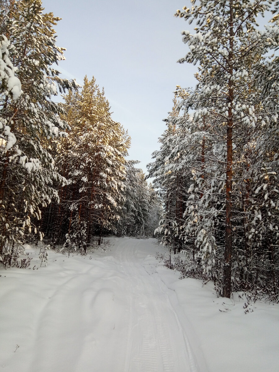 Пока я шел, постепенно светлело,